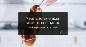 7 Pests to ban from your food premises and improve food safety