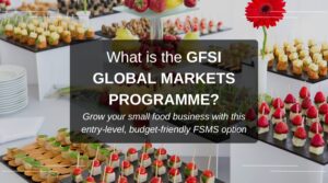 What is the GFSI Global Markets Programme